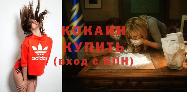 стафф Новозыбков