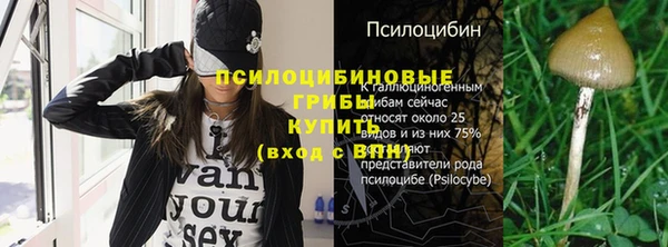 таблы Нея