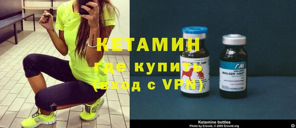 трава Корсаков