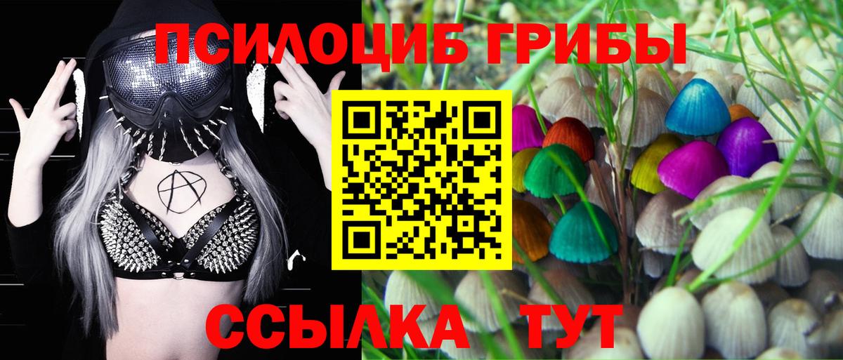 Галлюциногенные грибы мицелий Краснотурьинск