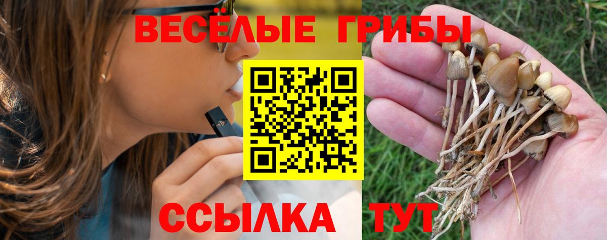 Галлюциногенные грибы GOLDEN TEACHER  Вход с VPN  Краснотурьинск 